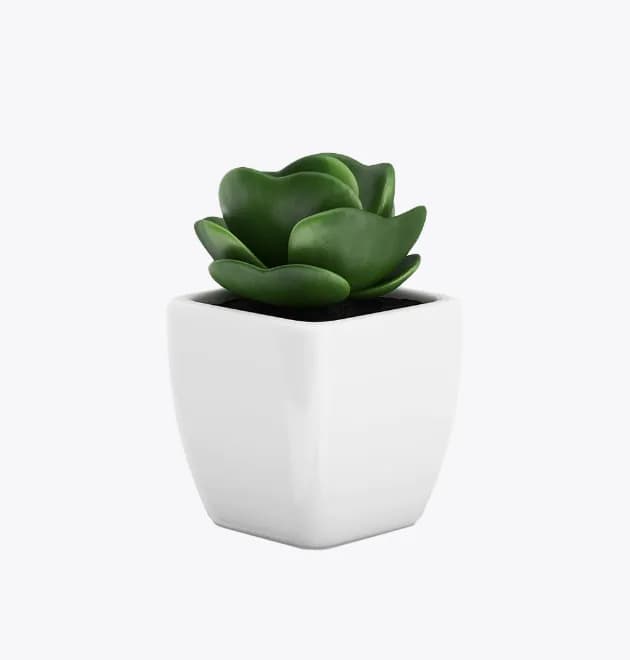 Product 8